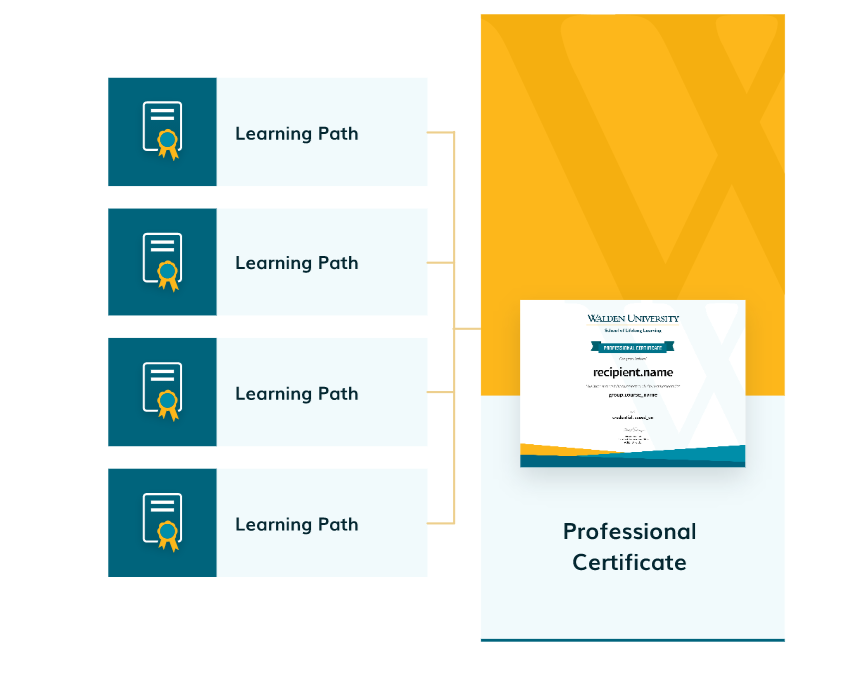 Learner Journey